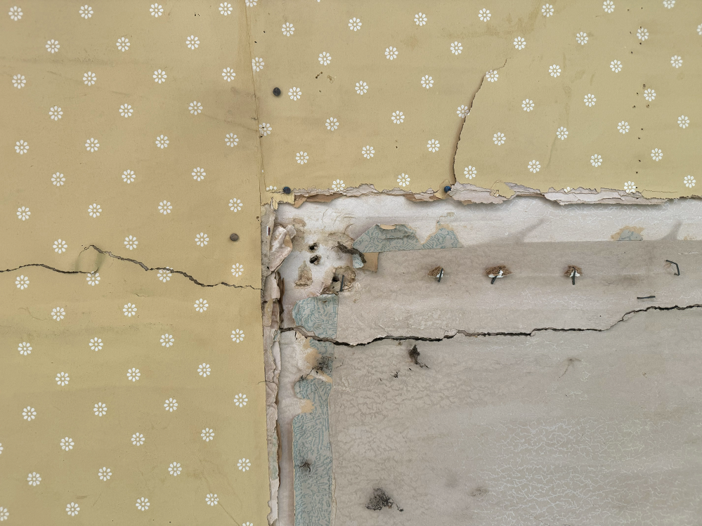Wallpapered Land